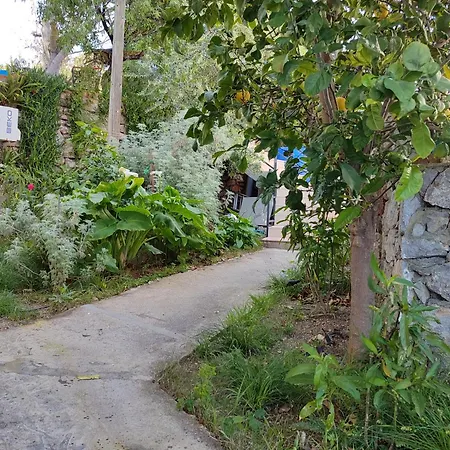 Duru Hébergement de vacances *